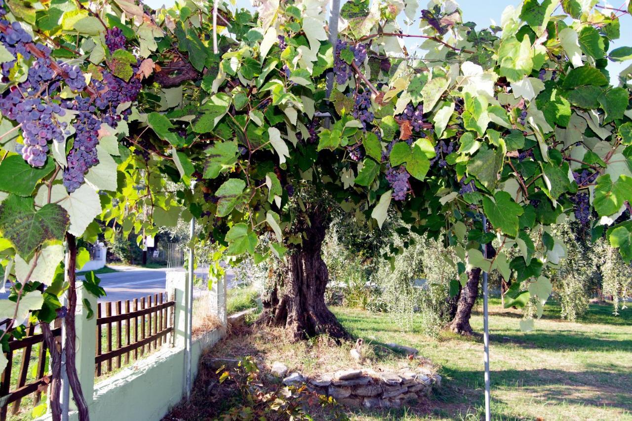 Athina Hotel Kínira Kültér fotó